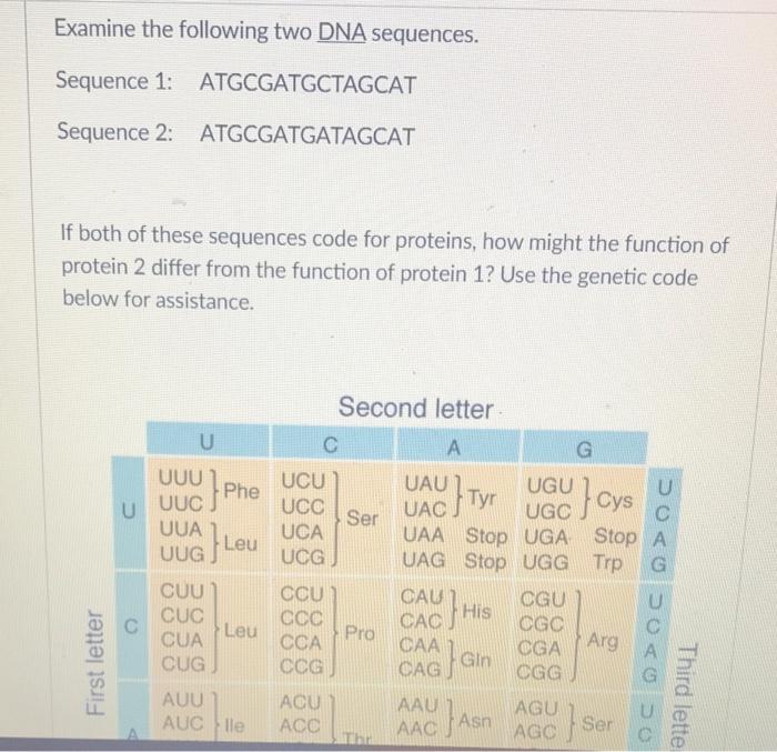 Solved Examine The Following Two DNA Sequences. Sequence 1: | Chegg.com