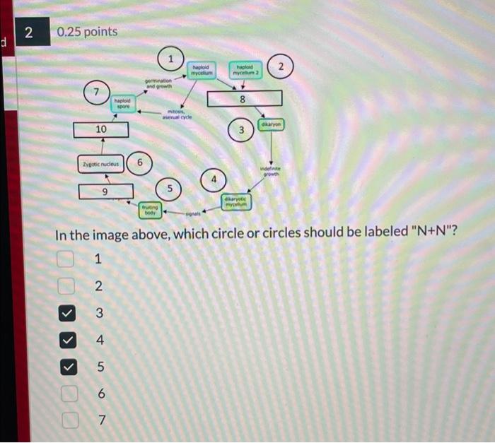 Solved In the image above, which circle or circles should be | Chegg.com