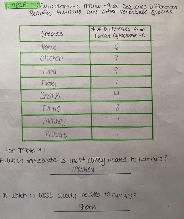 Solved Table 2 Hemoglobin Amino Acid Sequence Differences