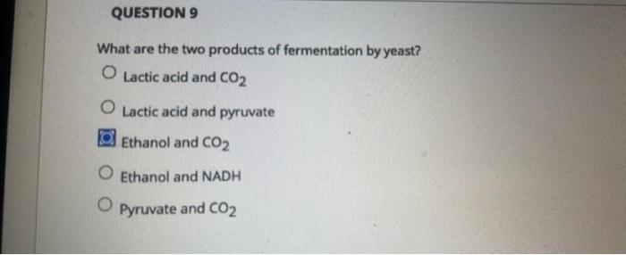 Solved QUESTION 7 Which of the following is fermented | Chegg.com