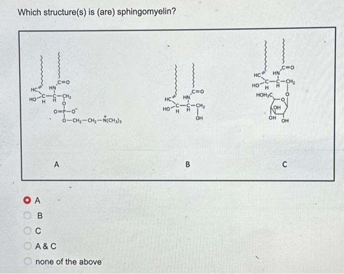 Solved Which structure(s) is (are) sphingomyelin? | Chegg.com