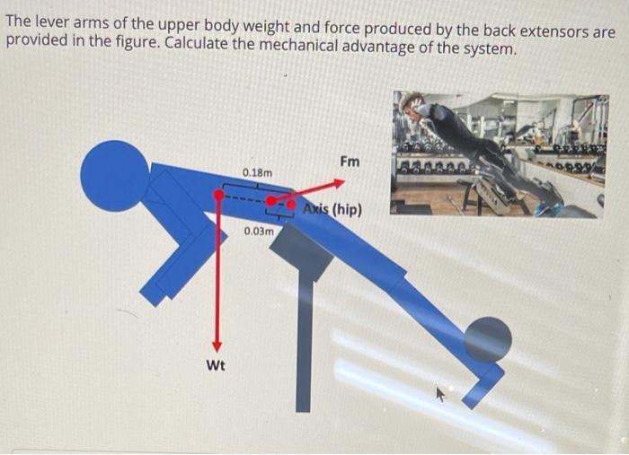 Solved The lever arms of the upper body weight and force | Chegg.com