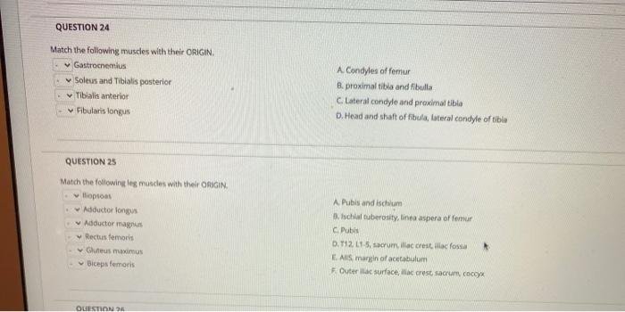 Solved Identify the function of the structure in the image | Chegg.com