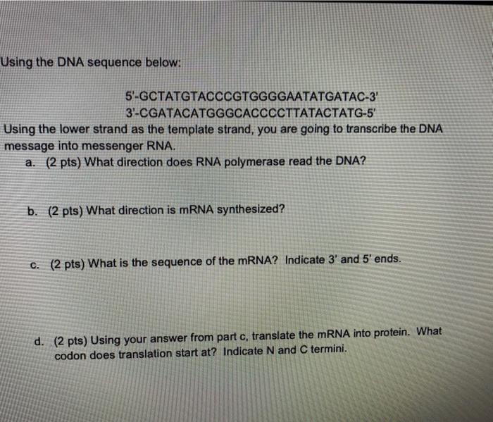 Solved Using the DNA sequence below: | Chegg.com
