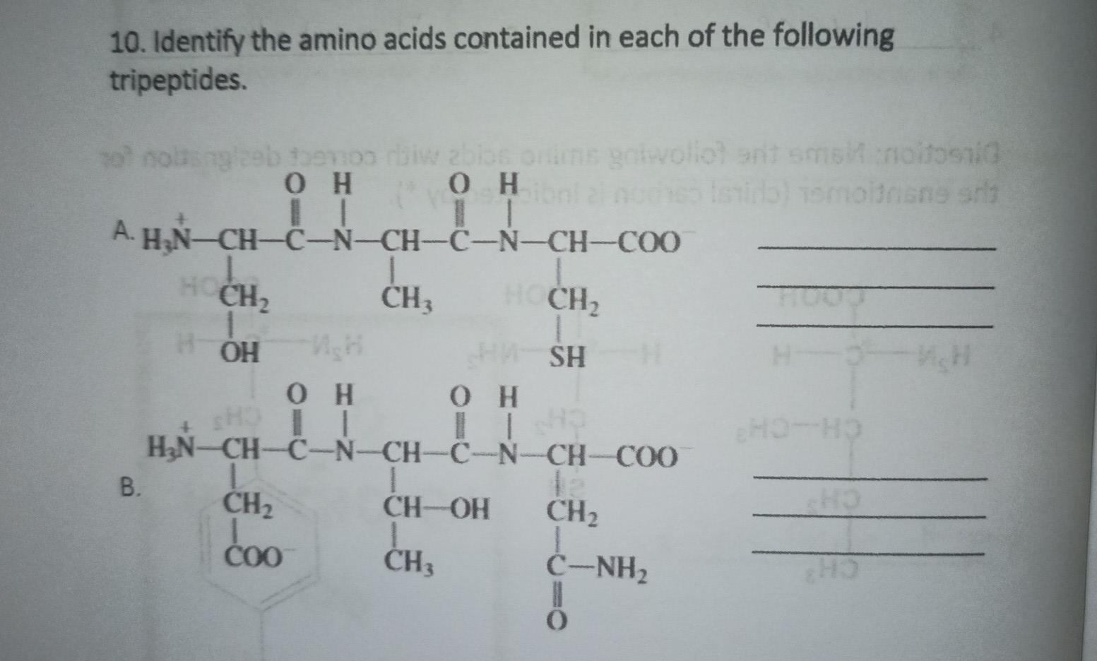 Solved 10. Identify the amino acids contained in each of the | Chegg.com