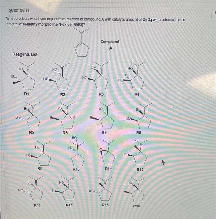 Solved QUESTION 12 What products would you expect from | Chegg.com