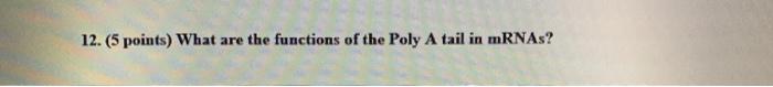 Solved 12. (5 points) What are the functions of the Poly A | Chegg.com