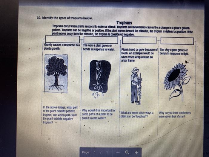 Tropisims Flashcards