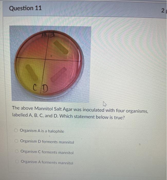 Solved 100246 ake Question 8 2 pts What is the name of the | Chegg.com