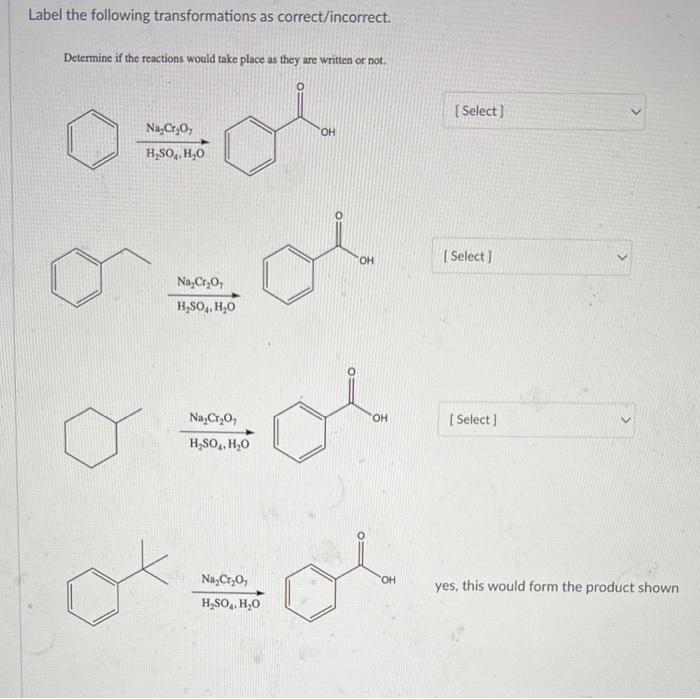 Solved Label the following transformations as | Chegg.com