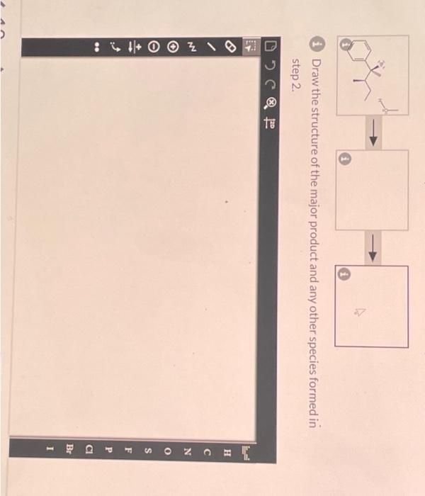 (i) Draw the structure of the major product and any other species formed in step 2.