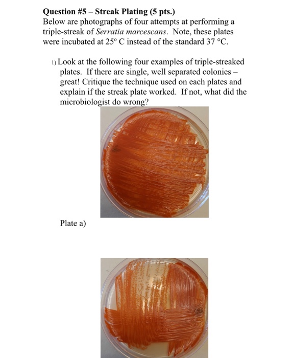 Solved Question #5 - Streak Plating (5 pts.) Below are | Chegg.com