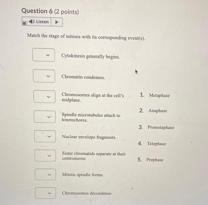 Solved Match the stage of meiosis with its corresponding | Chegg.com