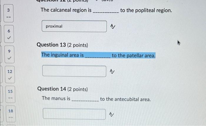 Solved 3 The calcaneal region is to the popliteal region. | Chegg.com