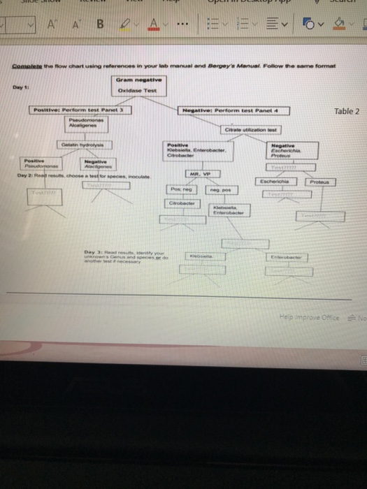 bergey-s-manual-flow-chart