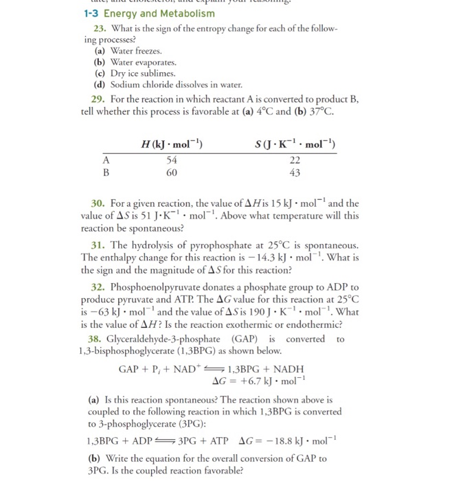 Solved 4. To which of the four classes of biomolecules do