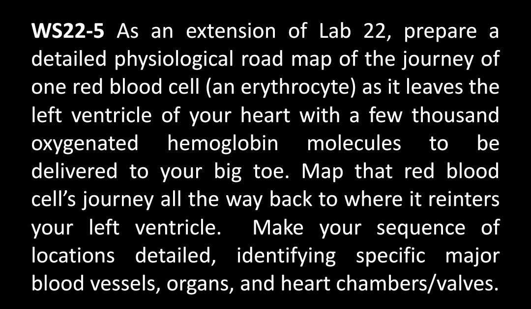 Lab 22 Map Solved to WS22-5 As an extension of Lab 22, prepare a | Chegg.com
