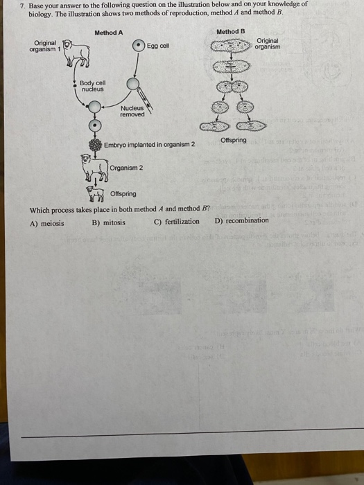 Solved 7. Base your answer to the following question on the | Chegg.com