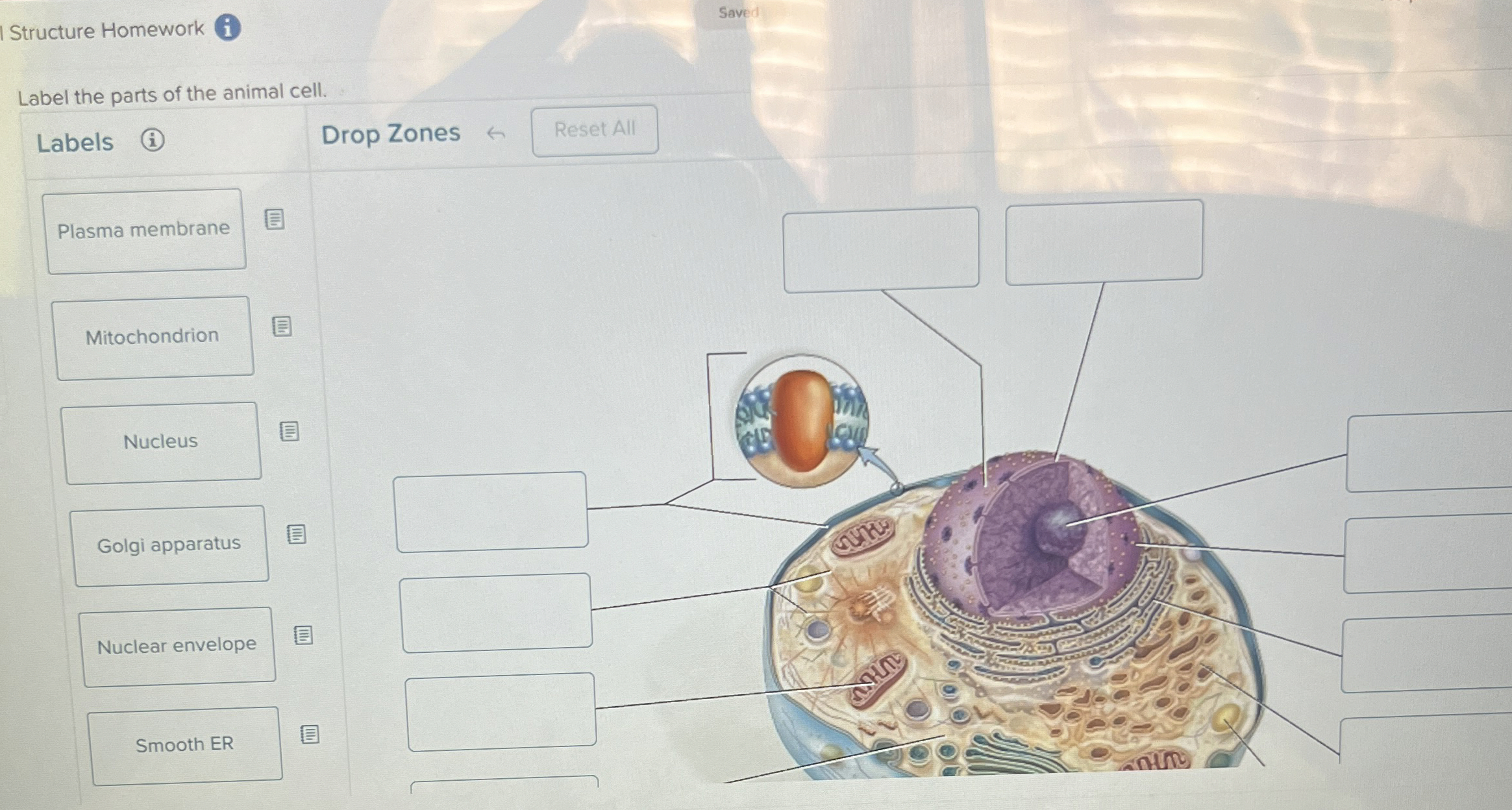 Solved Structure HomeworkSavedLabel the parts of the animal | Chegg.com