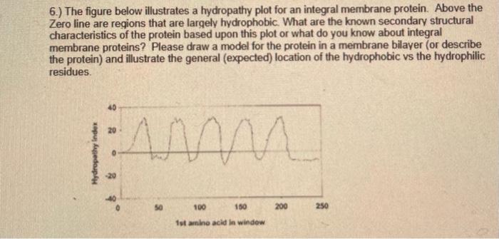 6.) The figure below illustrates a hydropathy plot for an integral membrane protein. Above the Zero line are regions that are