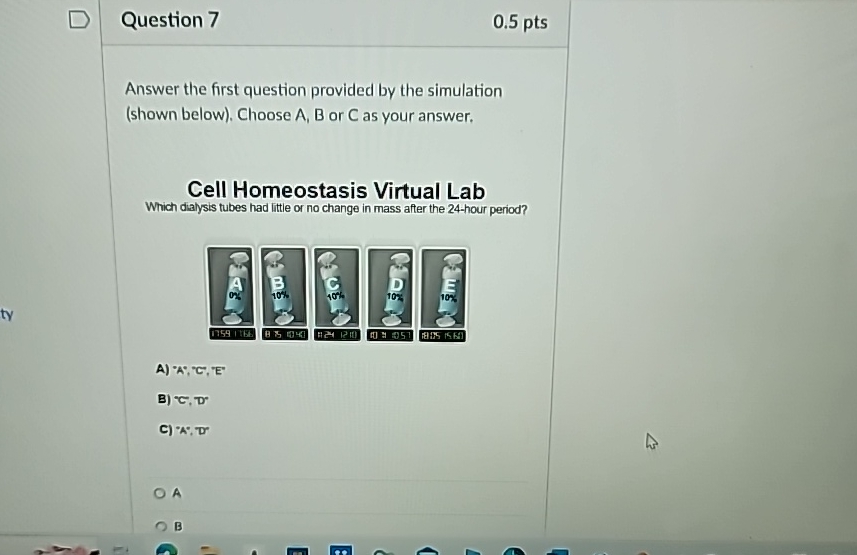 Solved Question 70.5ptsAnswer the first question provided by | Chegg.com