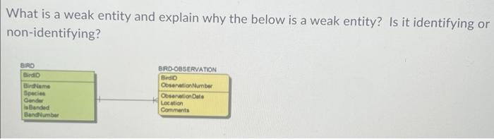 Solved What is a weak entity and explain why the below is a | Chegg.com