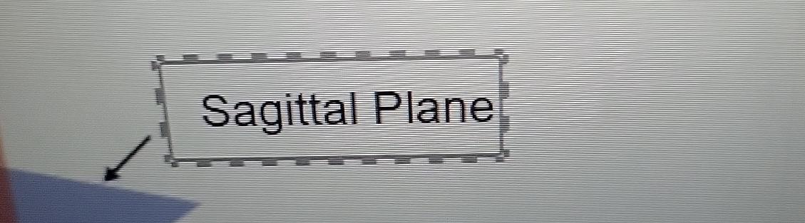 Solved Sagittal Plane Biology Diagrams
