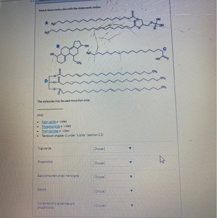 Solved D Question 29 4 pts Select all of the molecules in | Chegg.com