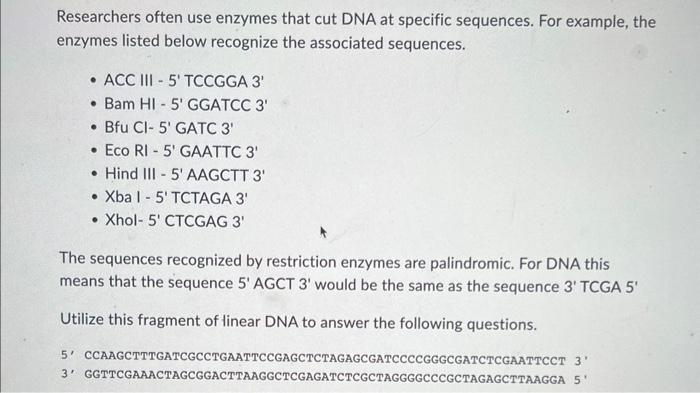 Solved Researchers often use enzymes that cut DNA at | Chegg.com