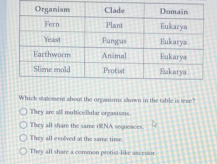 Solved Organism Clade Domain Fern Plant Eukarya Yeast Fungus | Chegg.com