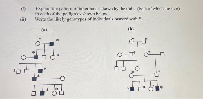 Solved (1) Explain the pattern of inheritance shown by the | Chegg.com