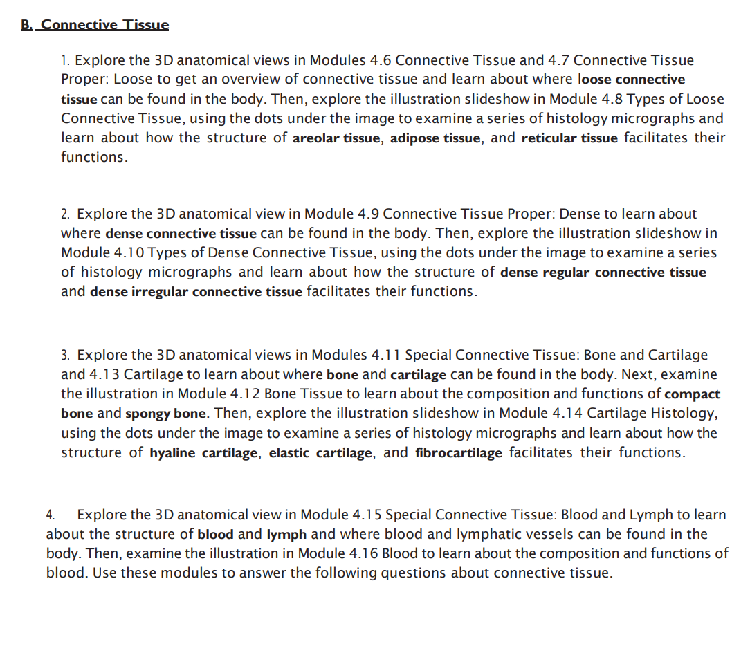 B. ﻿Connective TissueExplore The 3D Anatomical Views | Chegg.com