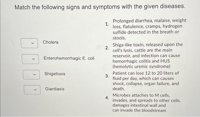 cholera symptoms and signs