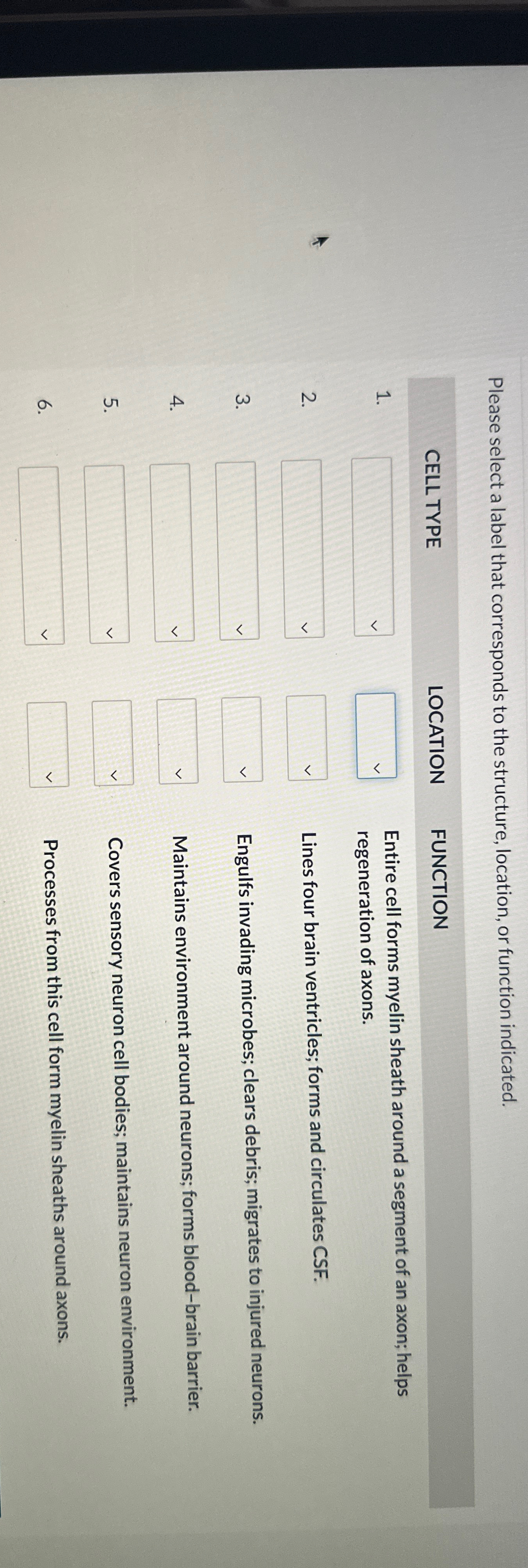 Solved Please select a label that corresponds to the | Chegg.com