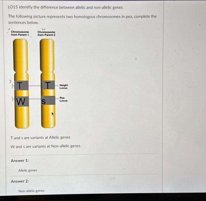 Solved LO15 Identify the difference between allelic and | Chegg.com