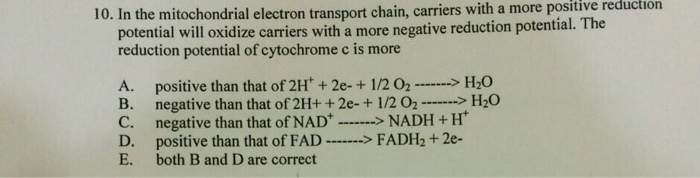 Solved 10. In the mitochondrial electron transport chain, | Chegg.com