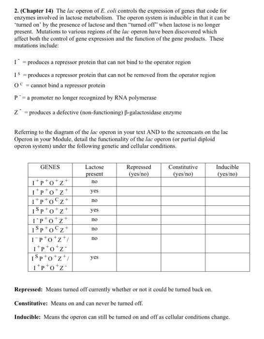 Solved 2. (Chapter 14) The lac operon of E. coli controls | Chegg.com