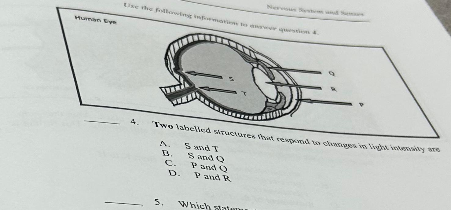 Solved Use The Following Information To Diswer Questiont