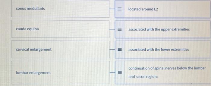 Solved Match the term with the correct description: Drag and | Chegg.com