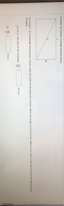 Solved Consider the labeled rectangle pictured below: D w | Chegg.com