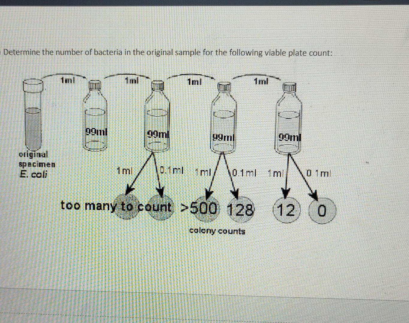 Solved 10) Determine The Number Of Bacteria In The Original | Chegg.com ...