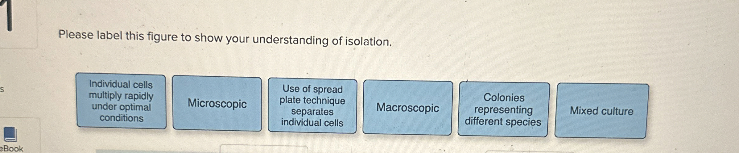 Solved Please label this figure to show your understanding | Chegg.com