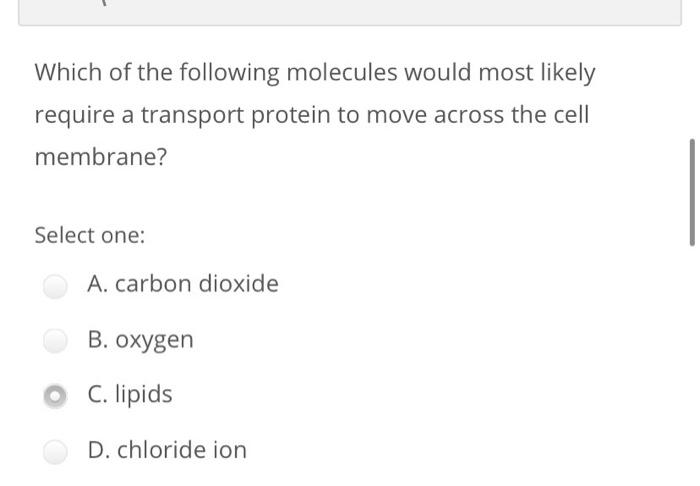 Solved Which of the following molecules would most likely | Chegg.com