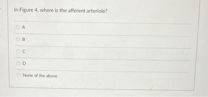 In Figure 4 , where is the afferent arteriole?
A
B
C
D
None of the above