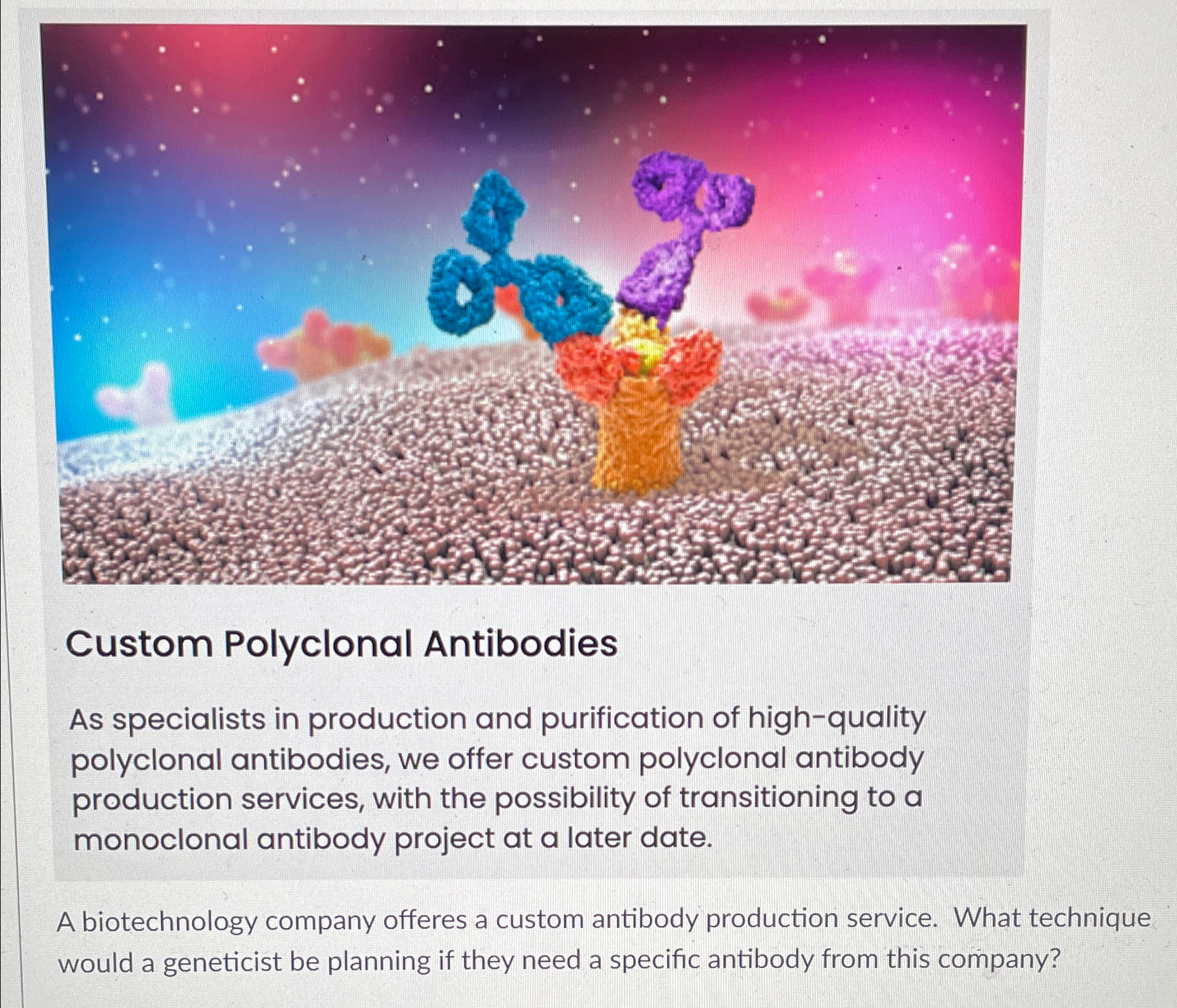 Solved Custom Polyclonal AntibodiesAs specialists in | Chegg.com
