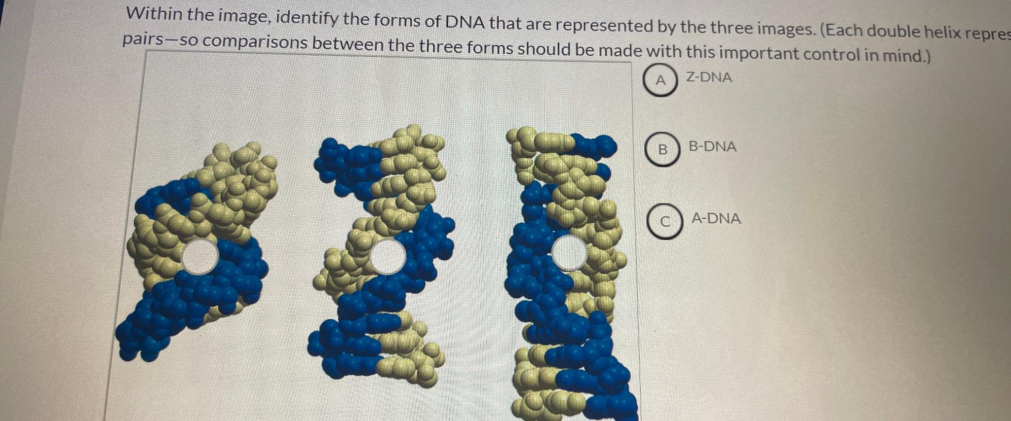 Solved Within The Image, Identify The Forms Of DNA That Are | Chegg.com