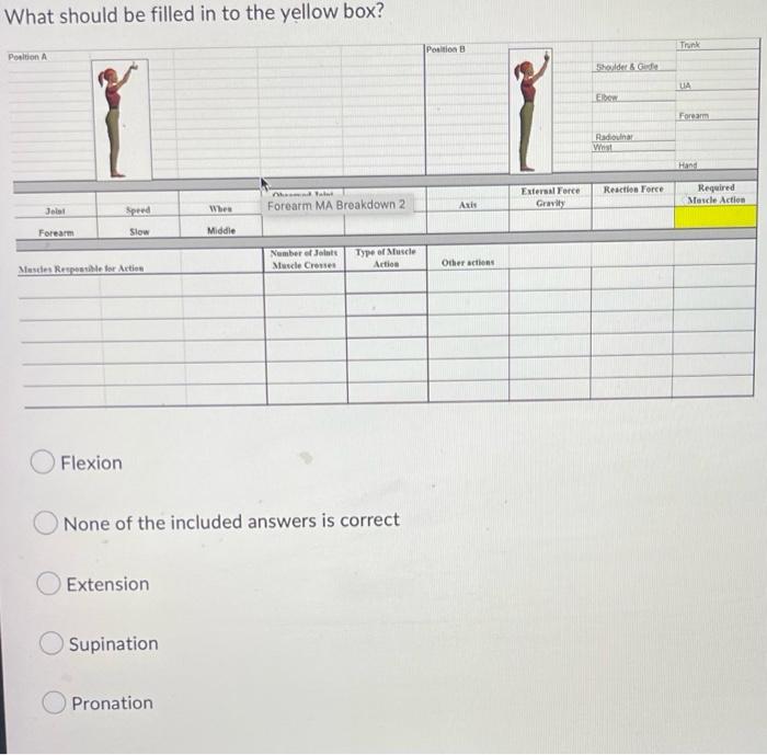 Solved What should be filled in to the yellow box? | Chegg.com