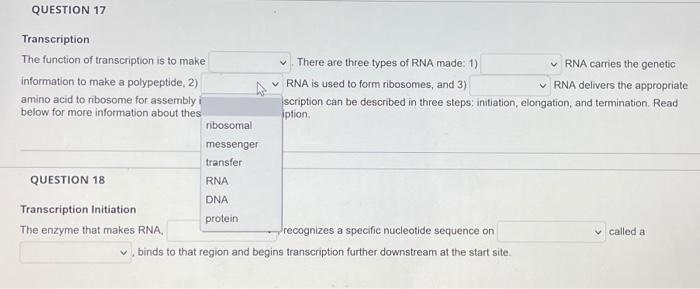 Solved QUESTION 17 Transcription The function of | Chegg.com