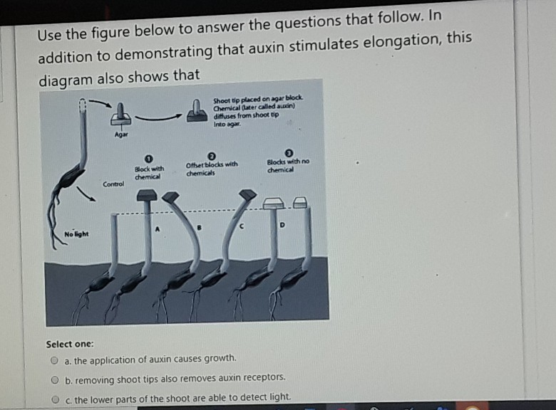 Solved Use the figure below to answer the questions that | Chegg.com