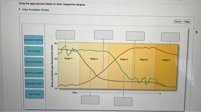 Solved Drag the appropriate labels to their respective | Chegg.com